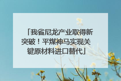 我省尼龙产业取得新突破！平煤神马实现关键原材料进口替代